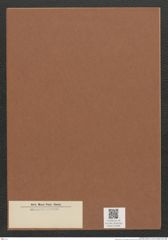 Diatomeae indet. Zeichnungen Sammlung Grunow Mappe 03466 (Herbarium_W_Grunow_drawings_Folder_03466)